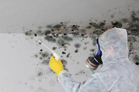 Best Mold Odor Removal Services  in Mineral Springs, AR